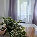 Stephanie Apartment-centru Civic בית אירוח