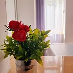 Stephanie Apartment-centru Civic * בראשוב