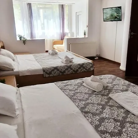 Stephanie Apartment-centru Civic Homestay Brasov
