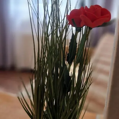 Stephanie Apartment-centru Civic *