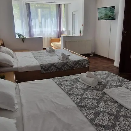 Stephanie Apartment-centru Civic