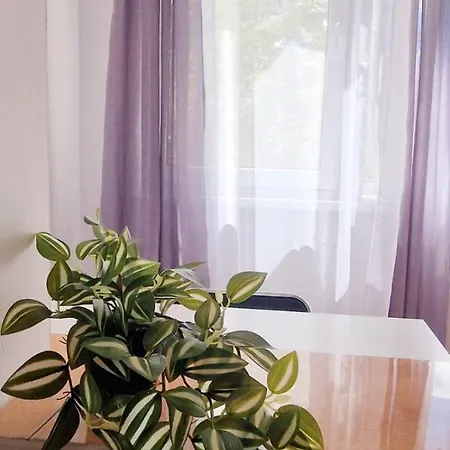 Homestay Stephanie Apartment-centru Civic
