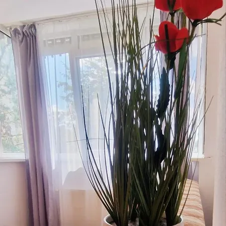 Homestay Stephanie Apartment-centru Civic *
