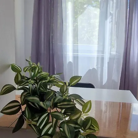 Stephanie Apartment-centru Civic Homestay