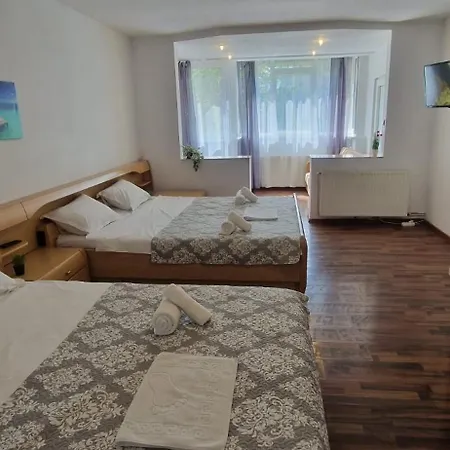 Homestay Stephanie Apartment-centru Civic *