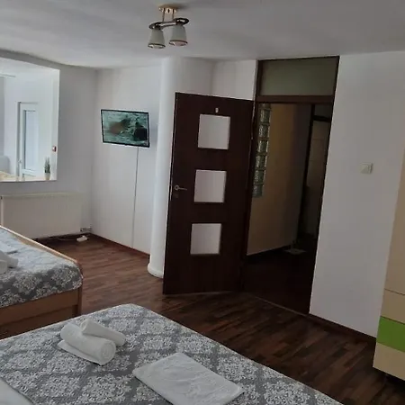 Homestay Stephanie Apartment-centru Civic