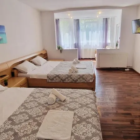 Stephanie Apartment-centru Civic Homestay *