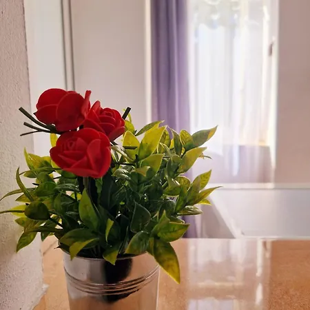 Stephanie Apartment-centru Civic * Brasov