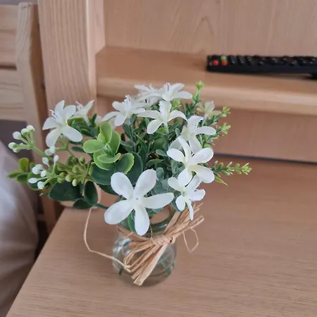 Stephanie Apartment-centru Civic Brasov