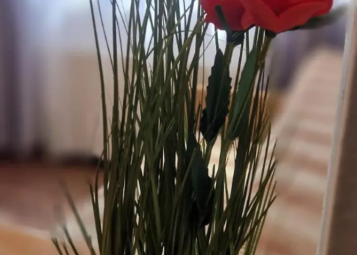 Stephanie Apartment-centru Civic *