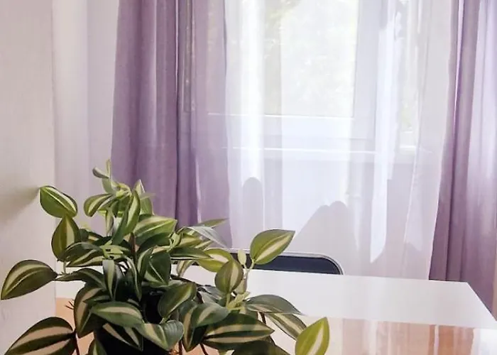 Privat bolig Stephanie Apartment-centru Civic