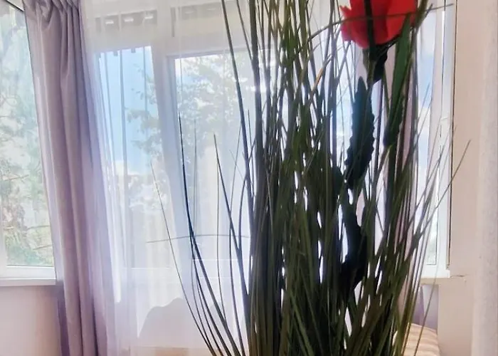 Privat bolig Stephanie Apartment-centru Civic *