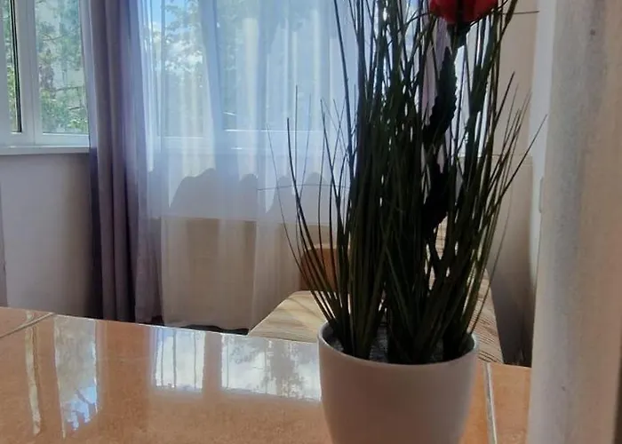 Stephanie Apartment-centru Civic *