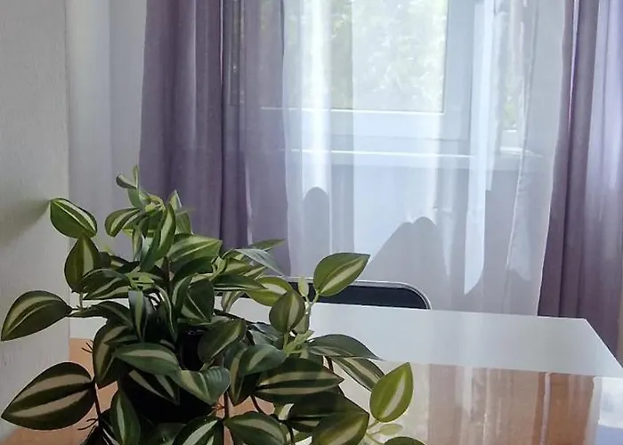 Stephanie Apartment-centru Civic Privat bolig