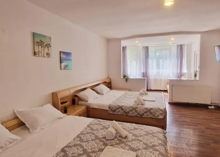 Stephanie Apartment-centru Civic Braşov