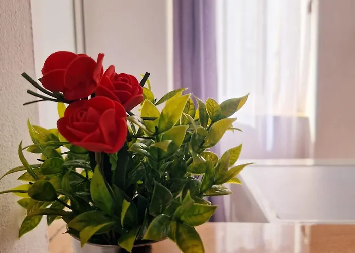 Stephanie Apartment-centru Civic * Braşov