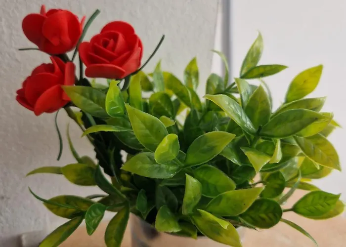 Privat bolig Stephanie Apartment-centru Civic *