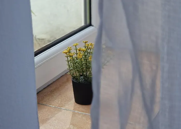 Stephanie Apartment-centru Civic Privat bolig Braşov