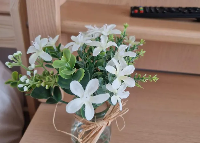 Stephanie Apartment-centru Civic Braşov