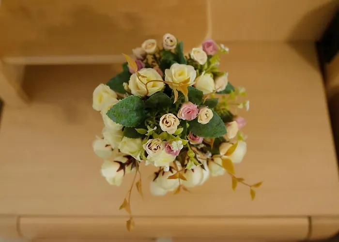 Séjour chez l'habitant Stephanie Apartment-centru Civic