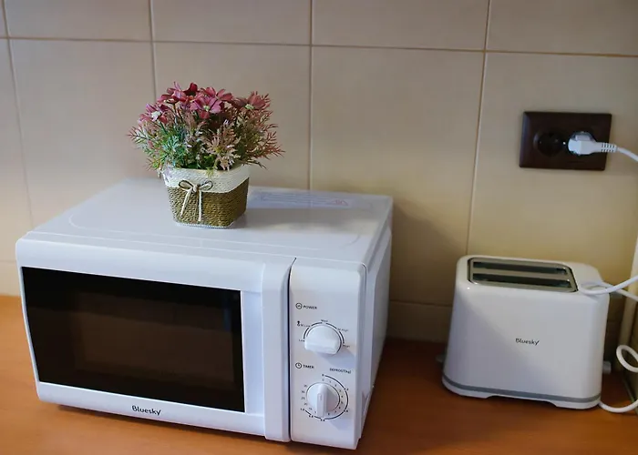 Stephanie Apartment-centru Civic Séjour chez l'habitant *