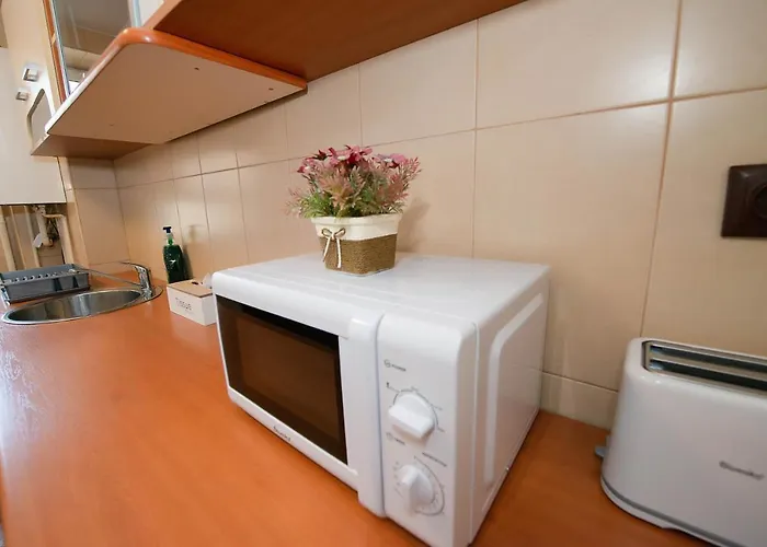 Stephanie Apartment-centru Civic Quarto em Acomodações Particulares Braşov